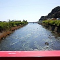 2河津荒倉河津川.jpg