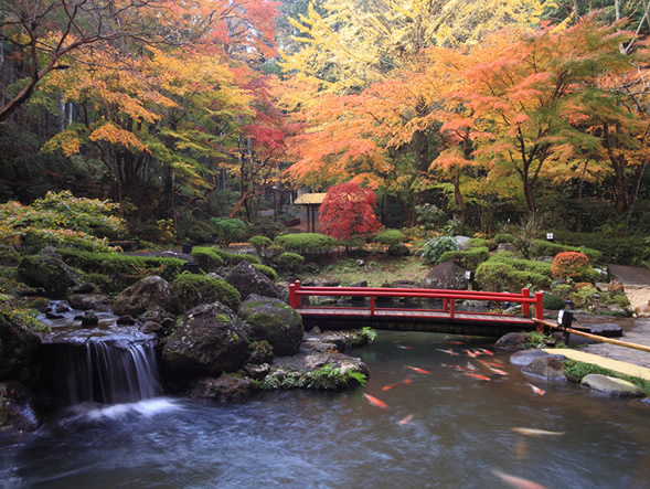 宙SORA庭園秋景