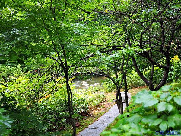 14定山溪溫泉往豐平川小路.jpg