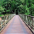 33川湯溫泉大塔川吊橋.jpg