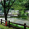 37川湯溫泉大塔川畔望吊橋.jpg