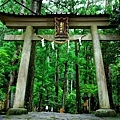 2飛瀧神社鳥居-1.jpg