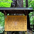 5飛瀧神社說明牌.jpg