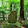 7飛瀧神社參道年尾歌碑.jpg