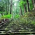 24飛瀧神社歸路.jpg