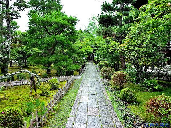 31清涼寺阿彌陀堂前庭園