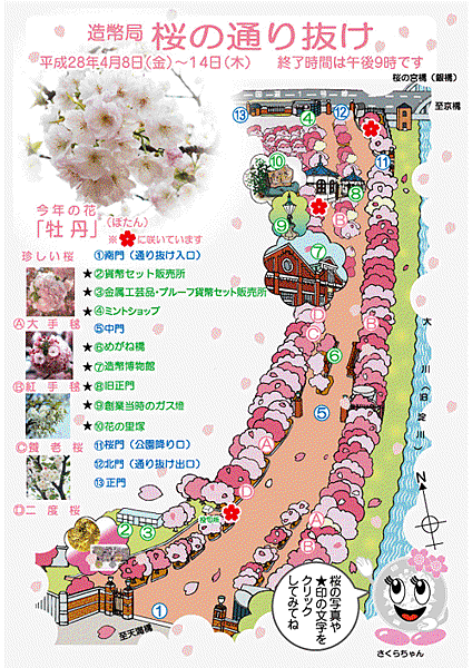 大阪造幣局 sakura_map2016