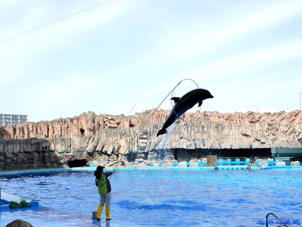 27名古屋水族館海豚表演-7.jpg