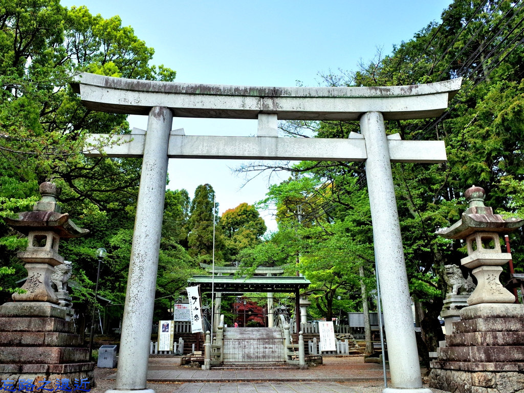 1針綱神社鳥居.jpg