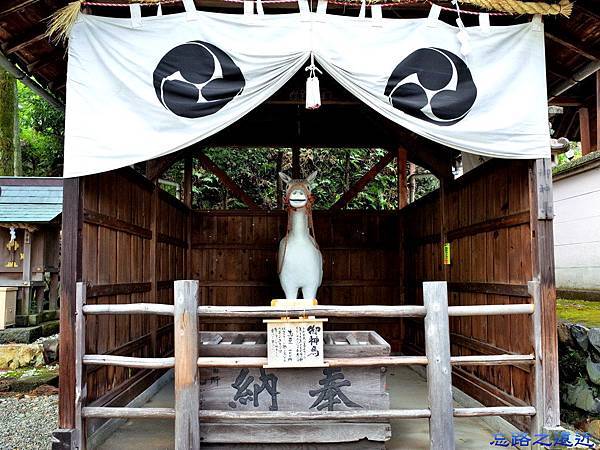 21針綱神社神馬.jpg