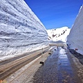 41黑部立山雪之大谷終點.jpg