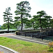 4富山城址公園松木步道.jpg
