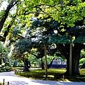 14兼六園步道.jpg