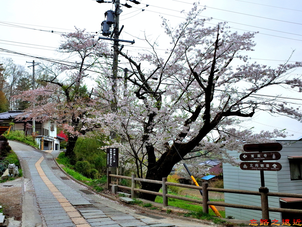 4往安樂寺參道山路.jpg