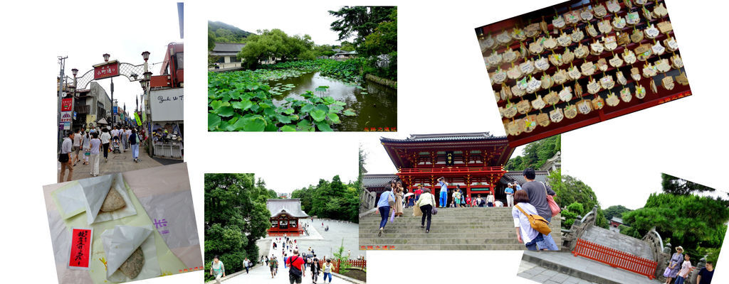 0鶴岡八幡宮 0鶴岡八幡宮