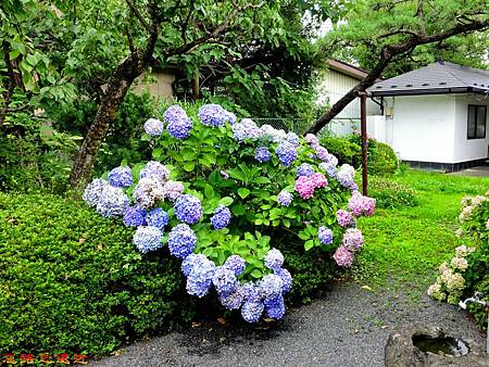 17一關松榮堂庭園-3.jpg