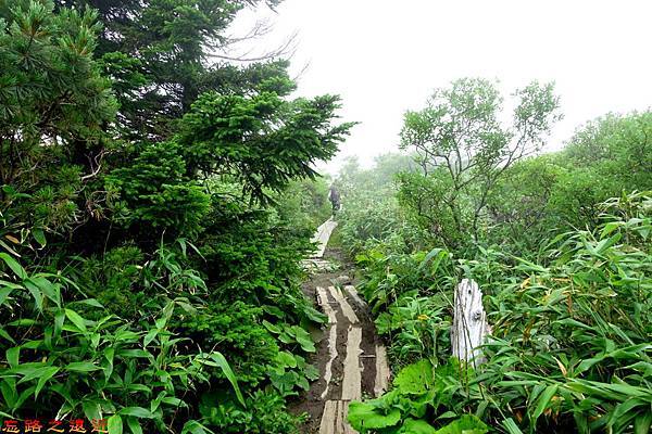 21八甲田山步道-1.jpg