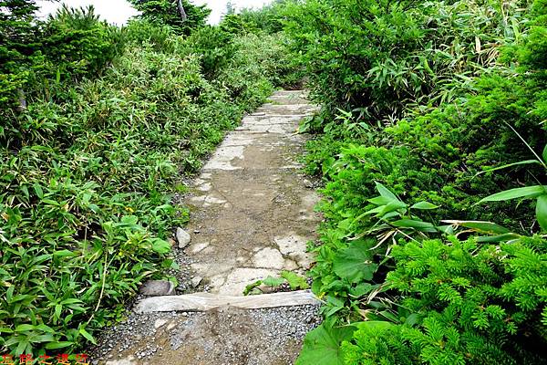 23八甲田山步道-3.jpg
