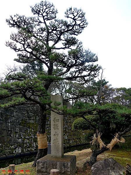 4和歌山城石碑.jpg