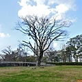 14和歌山和歌山城御橋廊下二之丸庭園.jpg