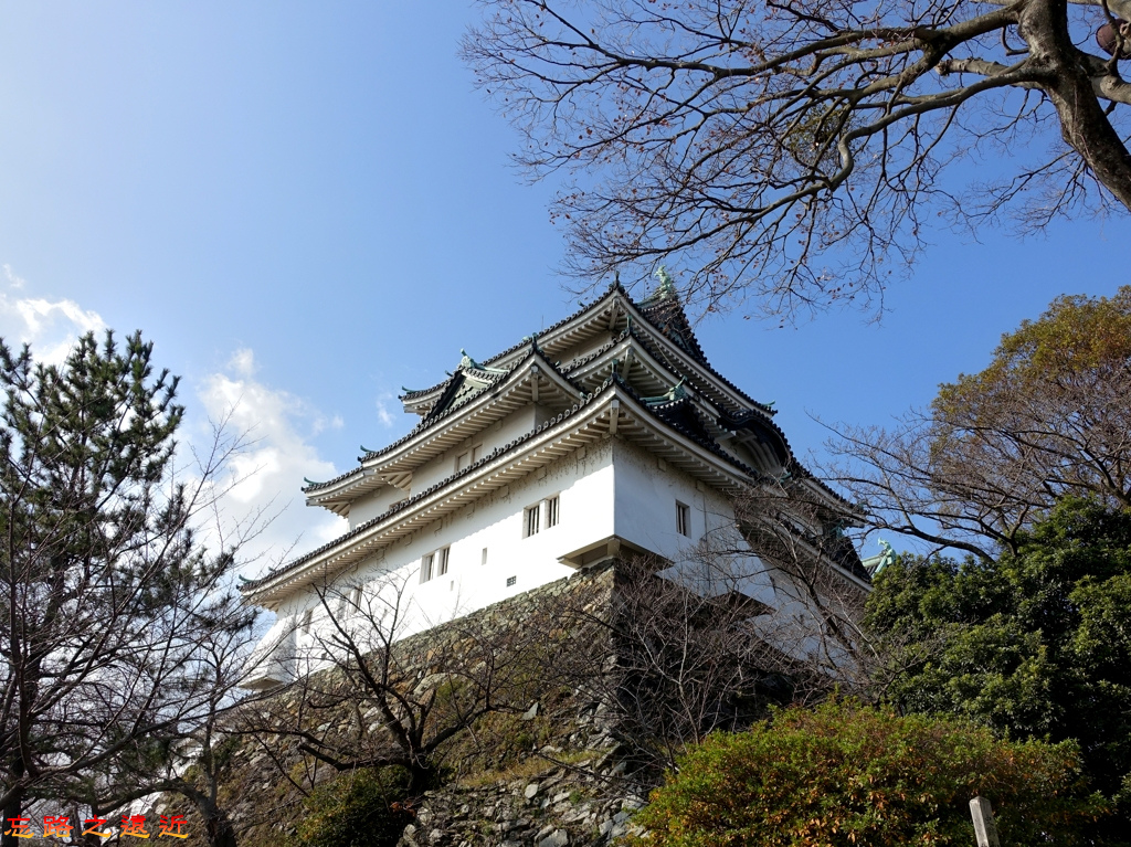 19和歌山城登山台階望天守閣.jpg