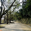 44和歌山城緩坡道.jpg