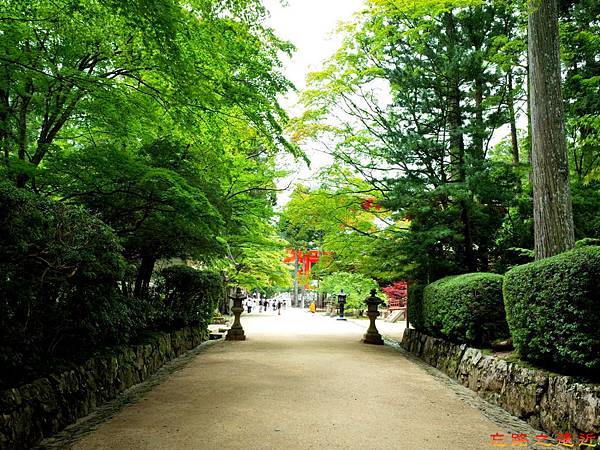 39高野山壇上伽藍蛇腹路口.jpg