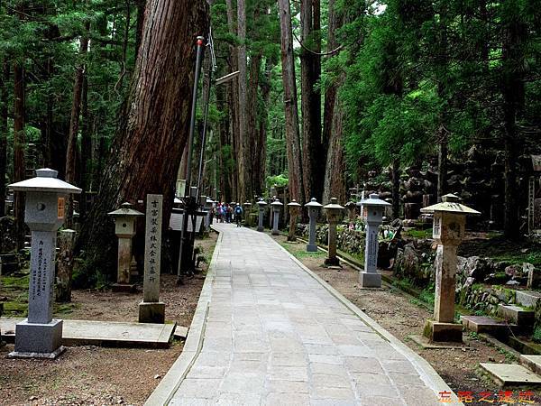 10高野山奧之院參道.jpg