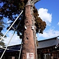 31吉備津彥神社平安杉.jpg
