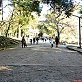 3東大寺往鐘樓山道.jpg