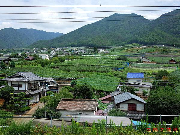 5勝沼ぶどう鄉站月台景觀.jpg