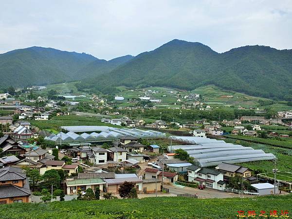 20往勝沼ぶどうの丘景觀.jpg