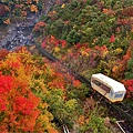 ホテル祖谷溫泉軌道車