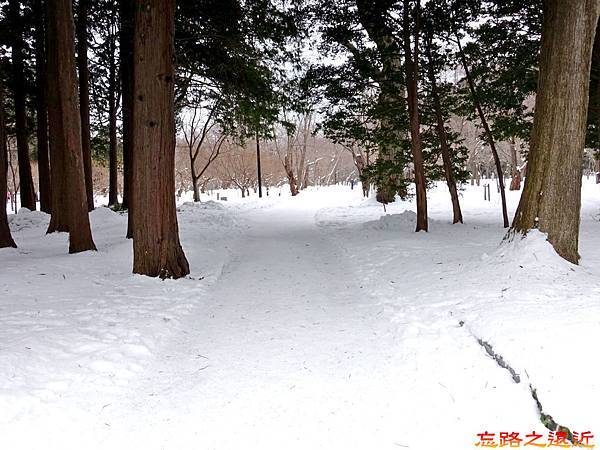 9北海道神宮參道往開拓神社道路.jpg