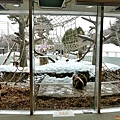 33圓山動物園猴山-2.jpg