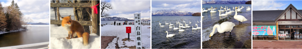 屈斜路湖 BANNER 屈斜路湖 BANNER