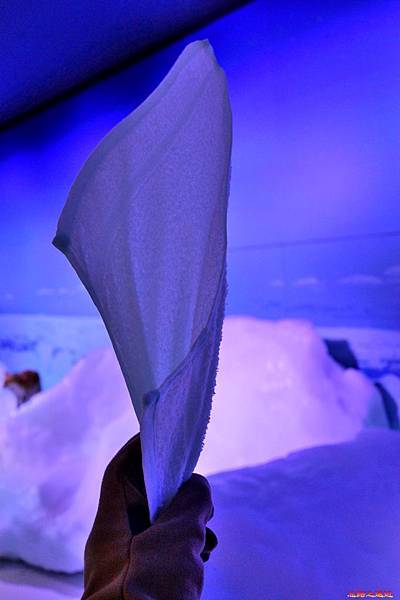 21都山流冰館地下室鄂霍次克動物展示流冰體感走廊甩毛巾-1.jpg