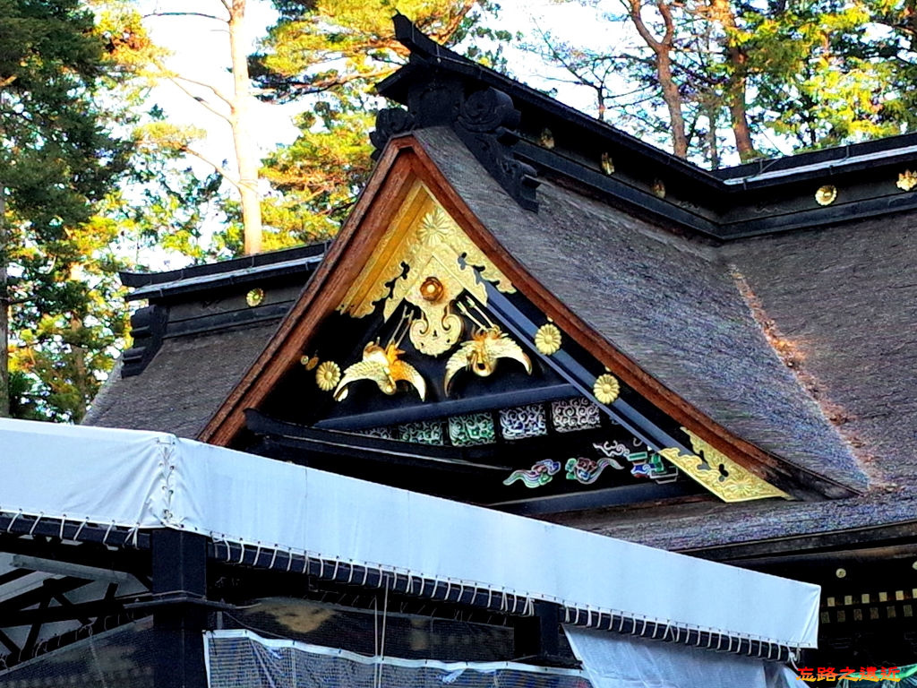 30大崎八幡宮社殿屋頂.jpg