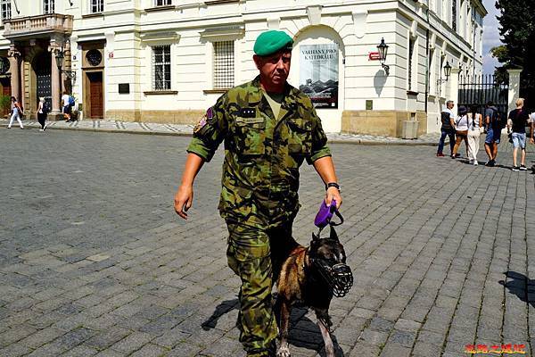 7城堡廣場大主教宮前軍人與軍狗.jpg