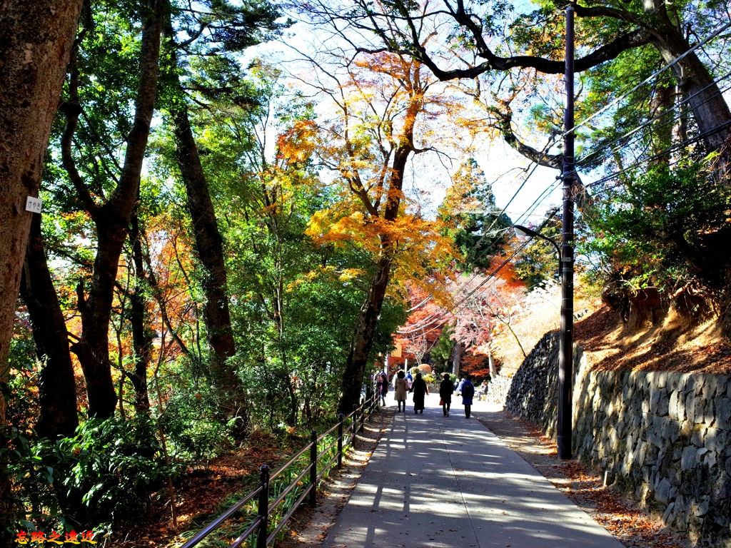 17高尾山纜車站往藥王院道路.jpg