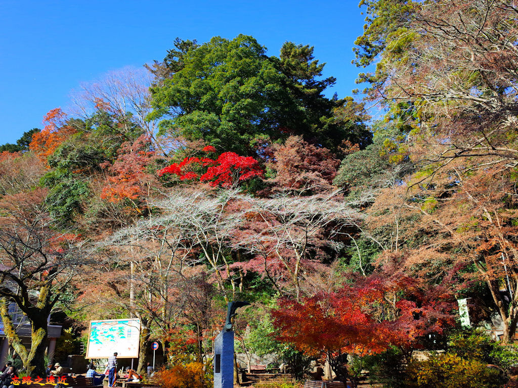 山口 高尾