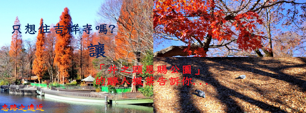 井之頭公園BANNER