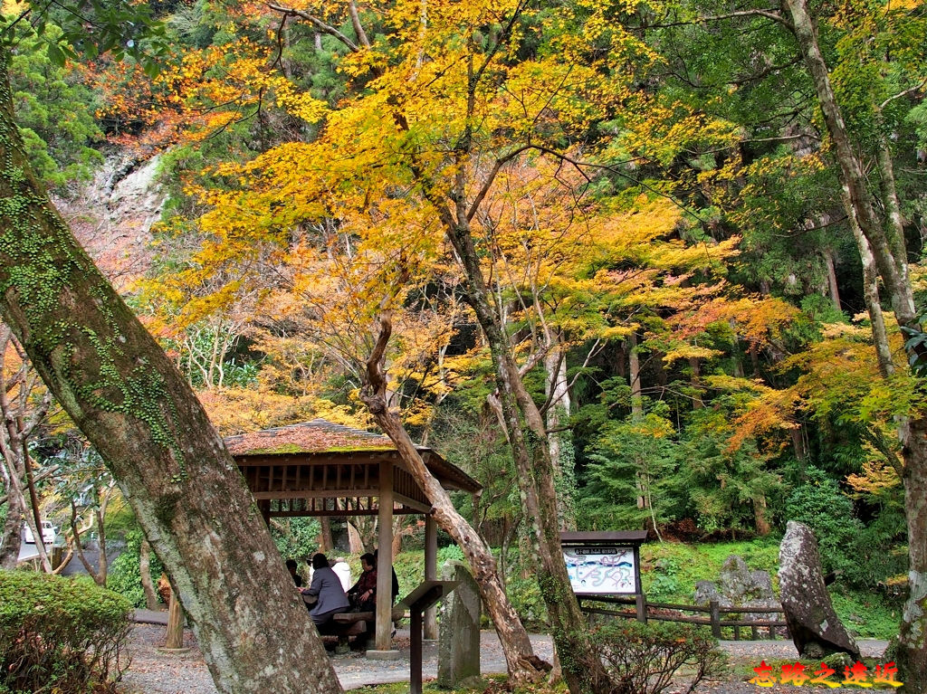 2高千穗峽庭園.jpg