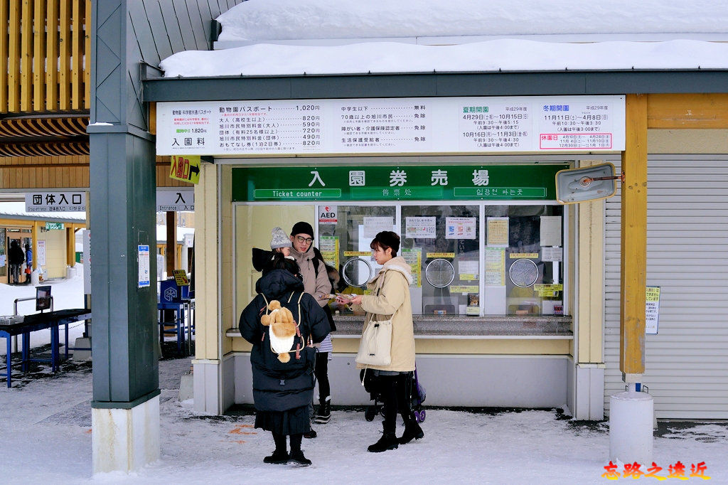 旭山動物園-冬-7.jpg