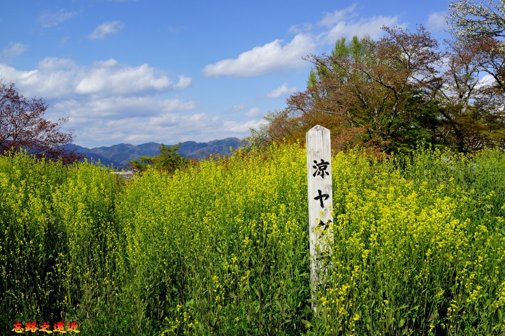 津山城-24.jpg