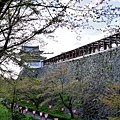 津山城-42.jpg