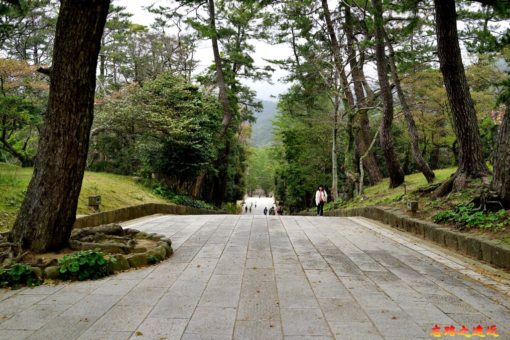 19出雲大社參道.jpg