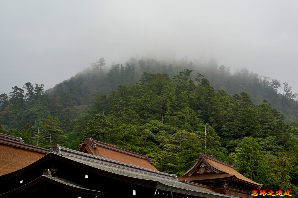 46出雲大社旺八雲山.jpg