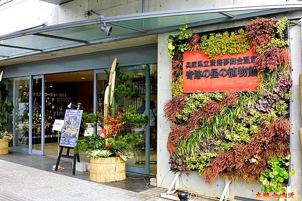 25淡路島夢舞台奇蹟之星植物館入口.jpg