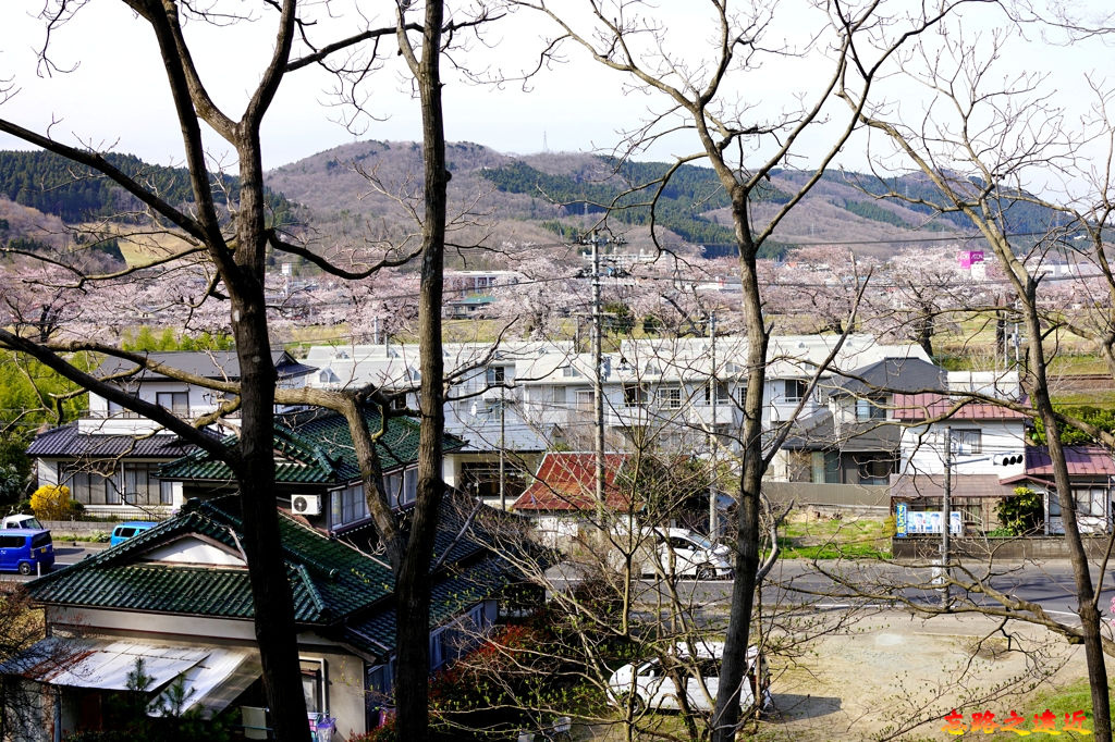 5船岡御館橋上坡.jpg